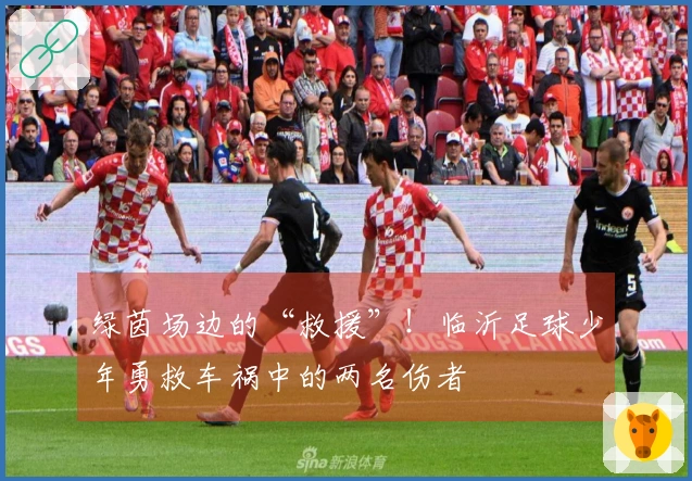 绿茵场边的“救援”！临沂足球少年勇救车祸中的两名伤者